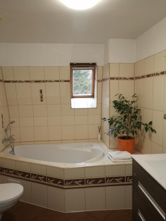 Apartmany Paseky - Яблонец-над-Нисоу Экстерьер фото